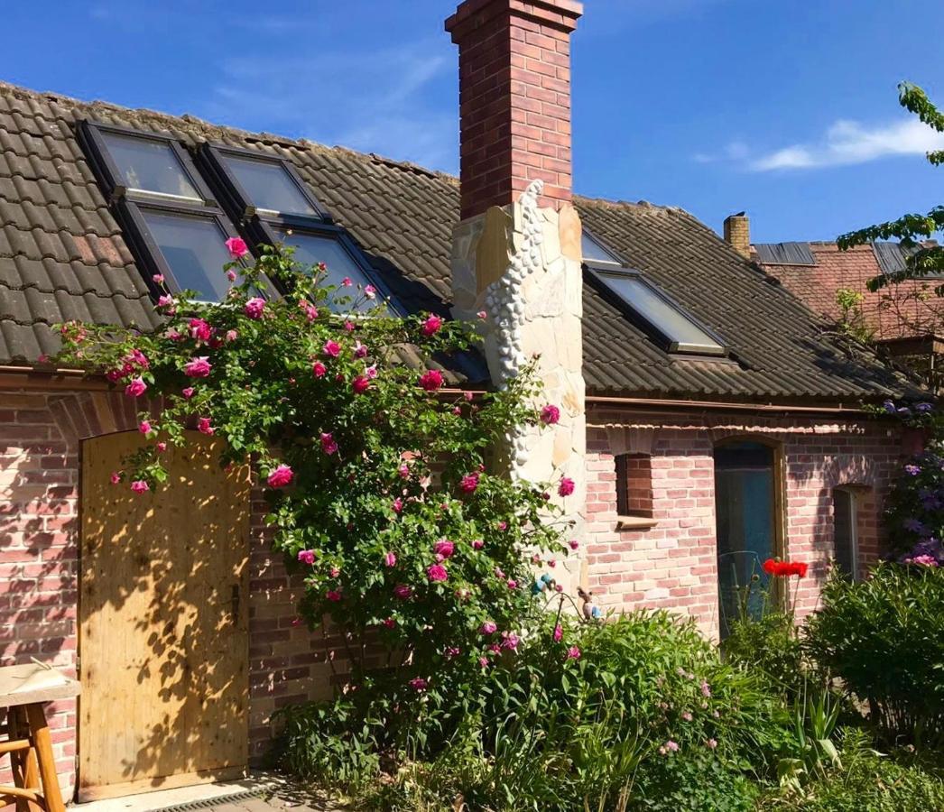 Boutique Hotel Shambala Zeitlos Wiedemar Zewnętrze zdjęcie